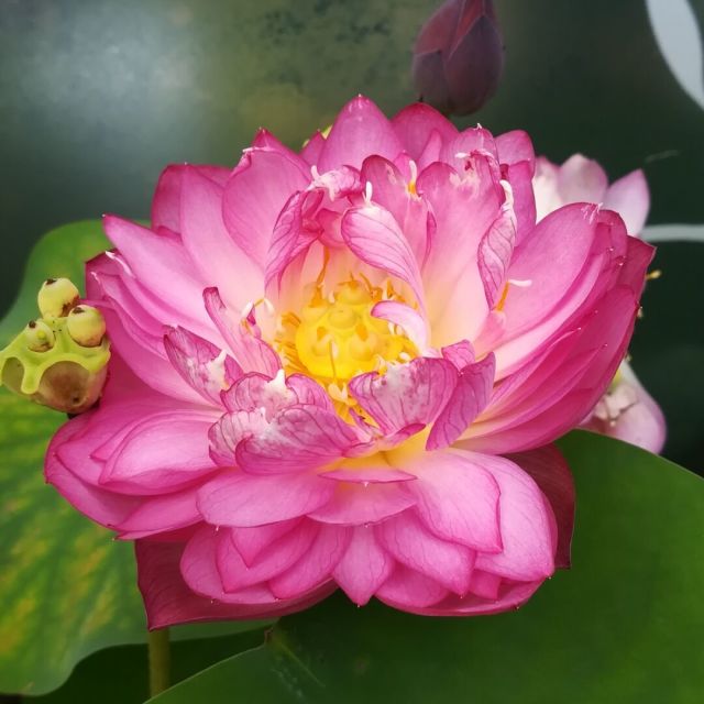 1158132 李军