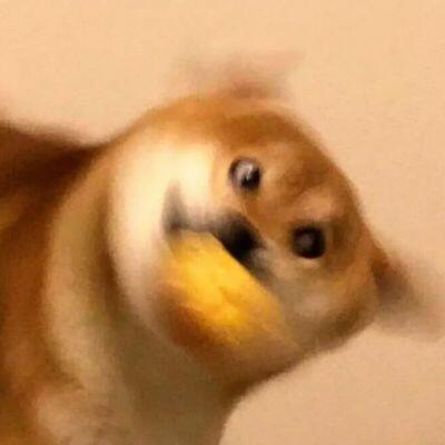 1158299254 321