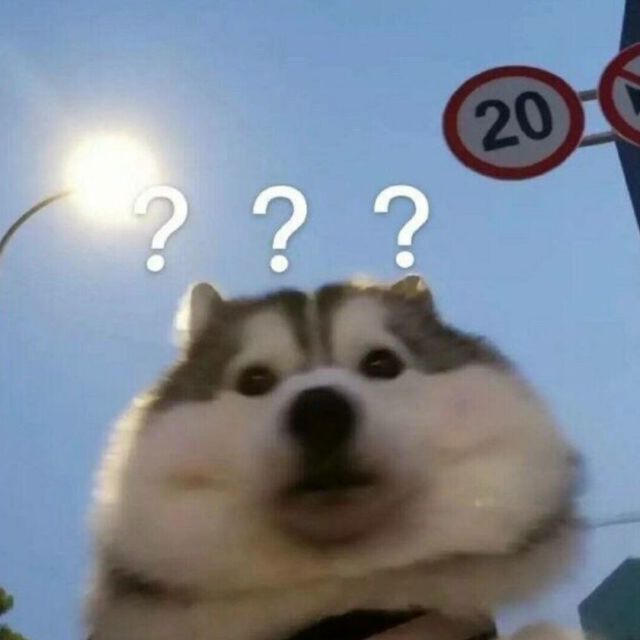1158713  年少不该太多情,❀