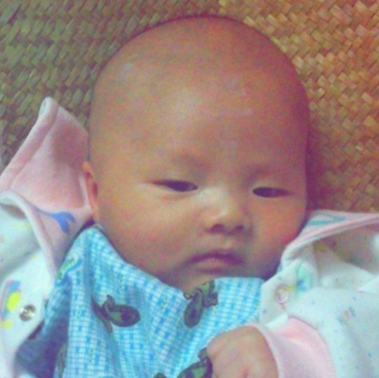 1158716 mokson
