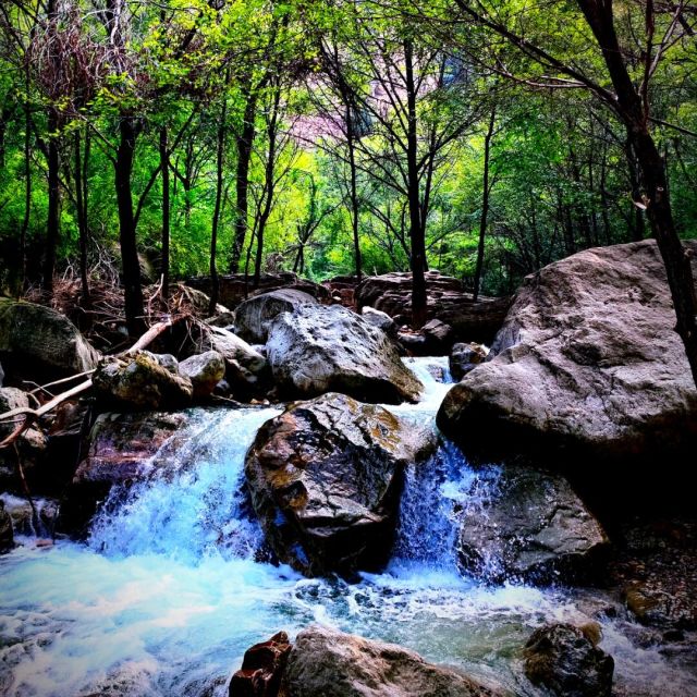 1158937 小马过河