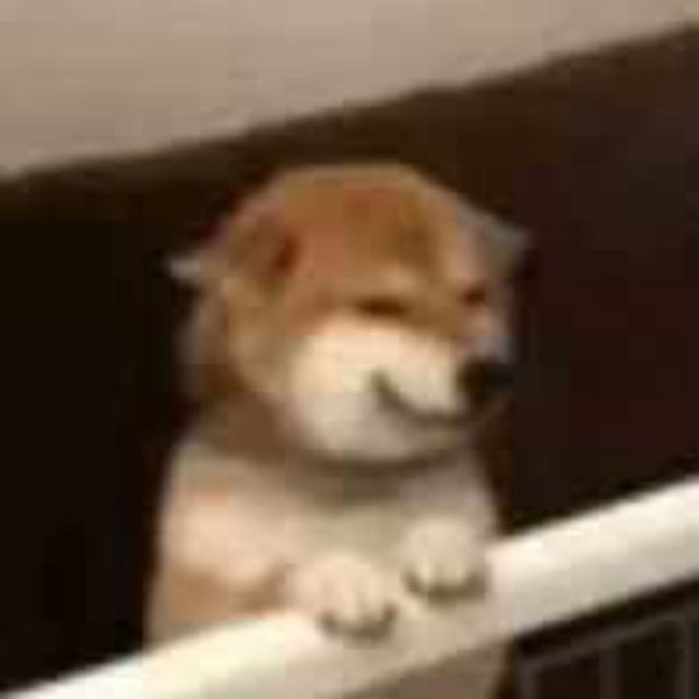 1158988 网视界储值