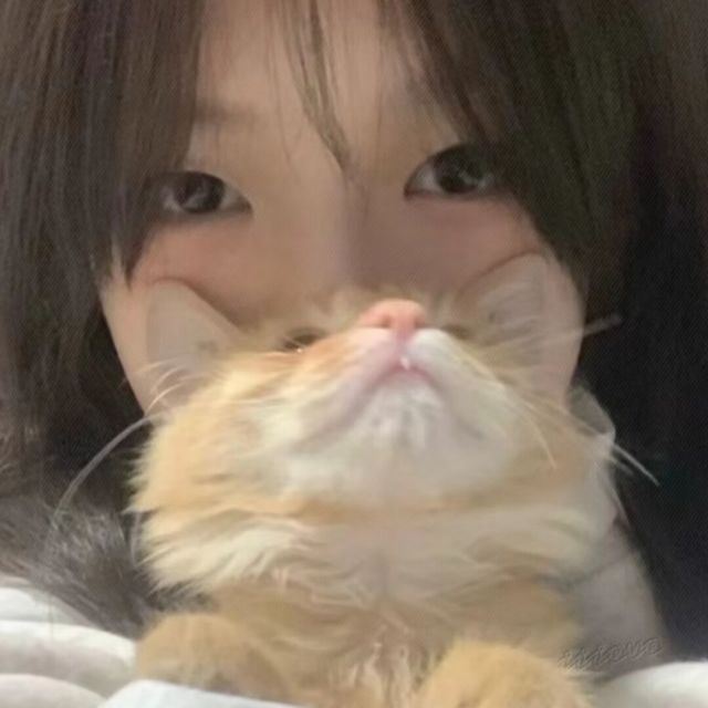 1161288 麦子