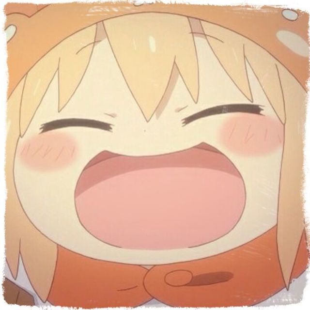 1161695 @棉花虫@