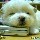 1161881 笨的邪乎