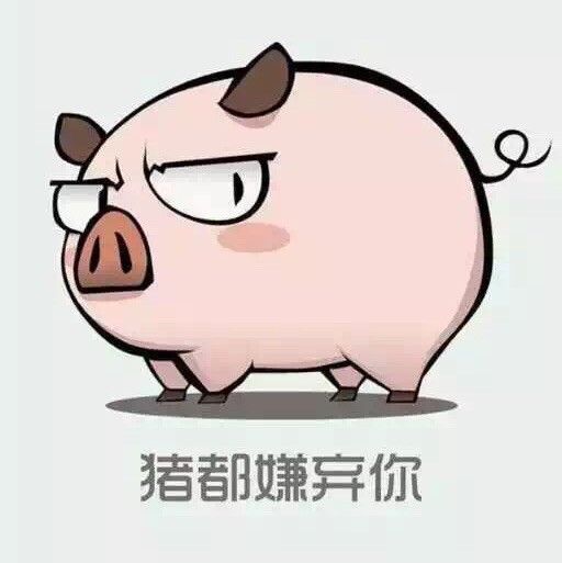 116220 馨云淡雪