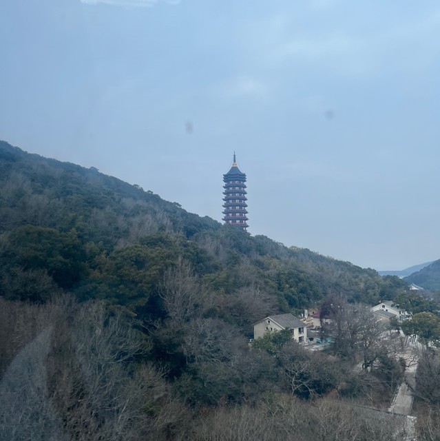 1162200 碧叶装饰材料