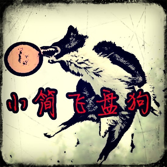 1162378 小简飞盘狗