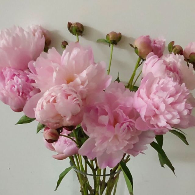 1162972 欣渊