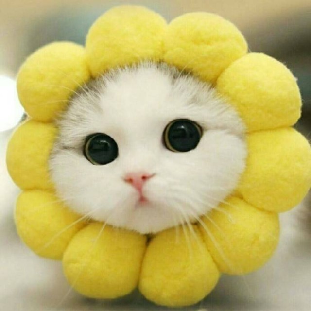 1163041 自定义＿ ＿