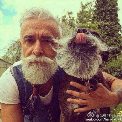1163455 无名的枪火