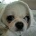 1163619 Jason