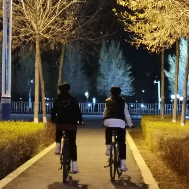 1163632 记忆