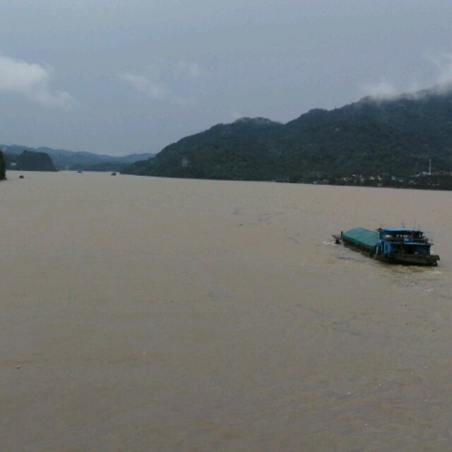 1164350 ~坤仔~