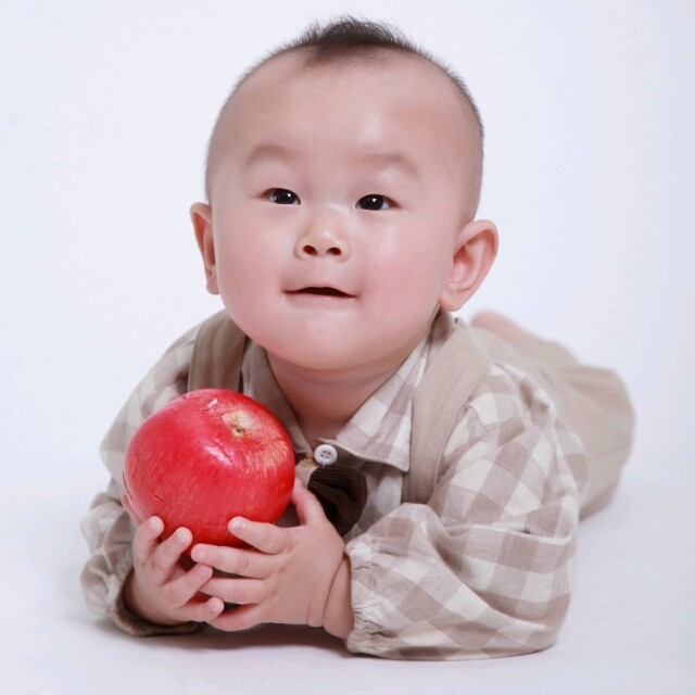1164698 大个小熊
