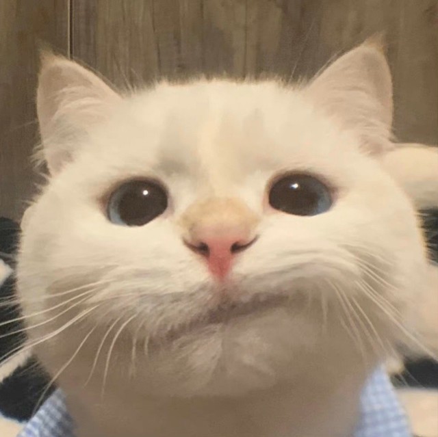 1164734 老司机
