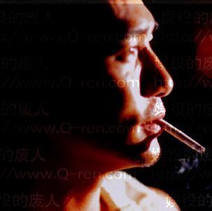 1164988 皮皮