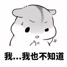 1165244 枫啸子