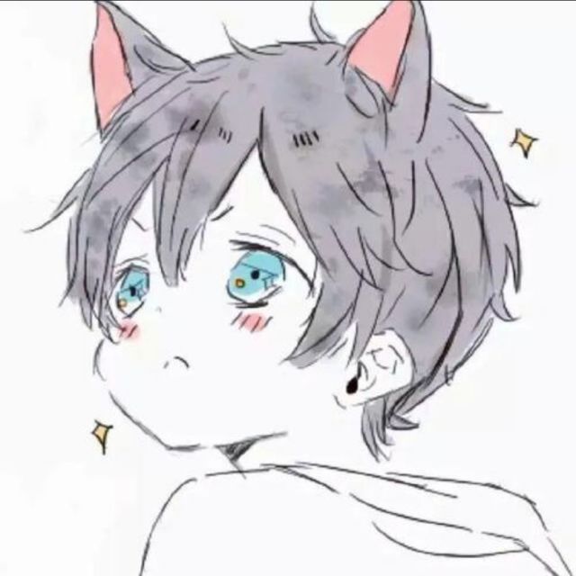 1165341 大仙的小熊猫