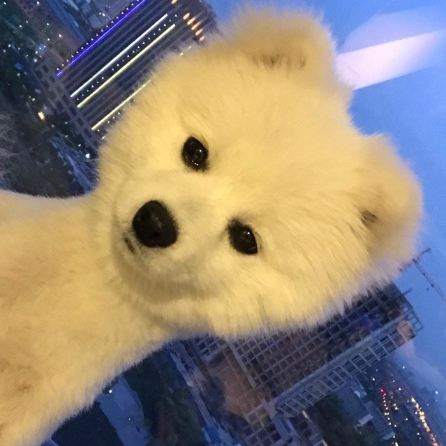 1165395 錢錢$