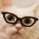 116558 蓝猫 