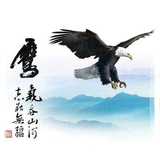 1165612 黄鹏