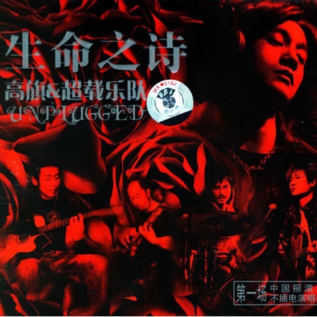 1165818 洞庭湖老麻雀