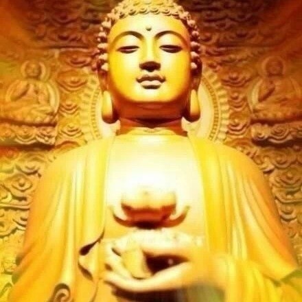 1166294 勤行精进