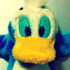 1166747 SENG.SENG