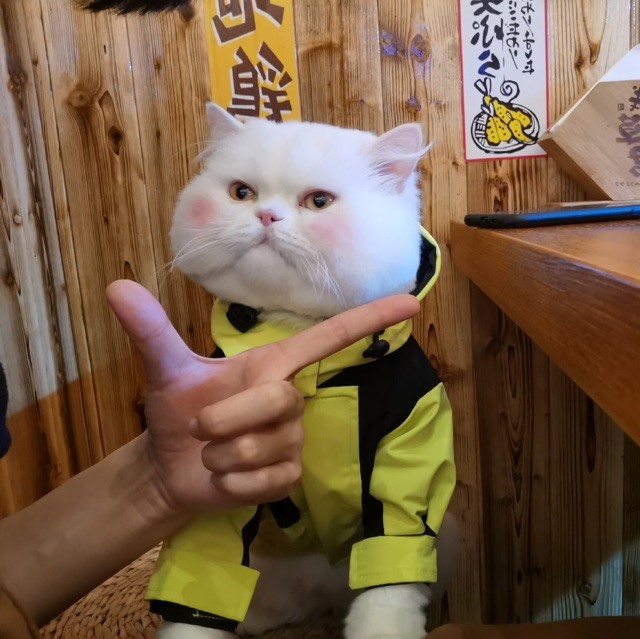 1166965 苦瓜