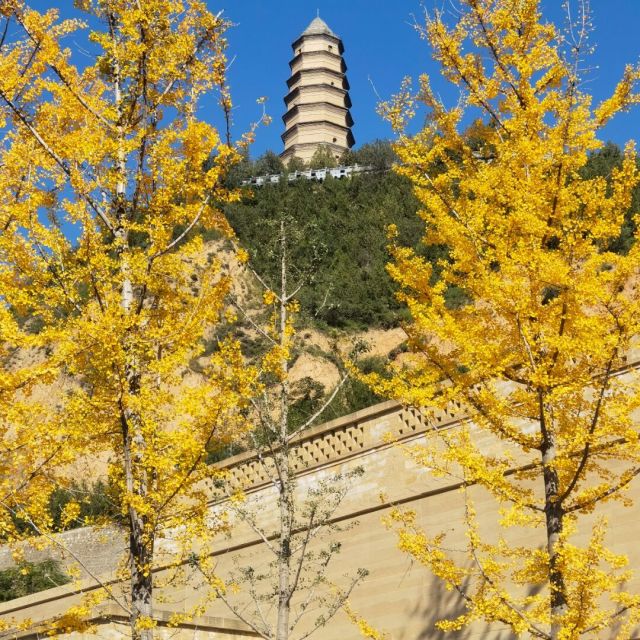 1167002 小新耍大刀