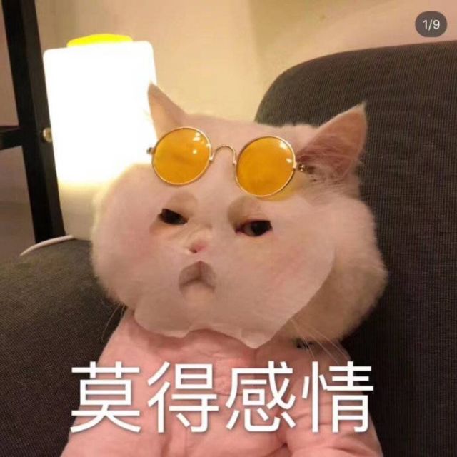 1167046 风沙渡