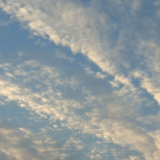 116713 oοΟ○