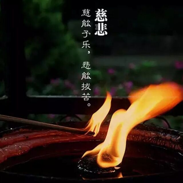 1167132 狼与卿约