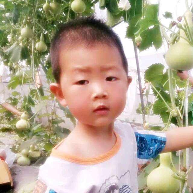 1167700 睿睿