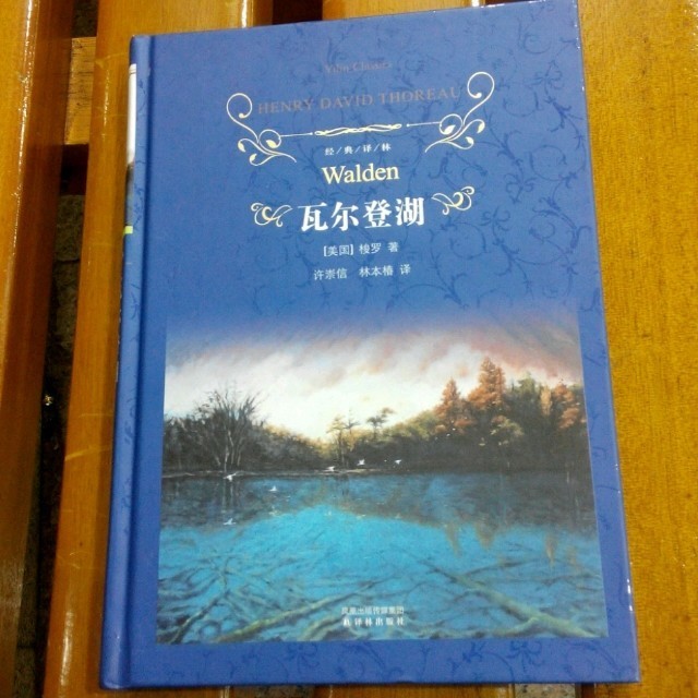 1168534 玉树临风的猪