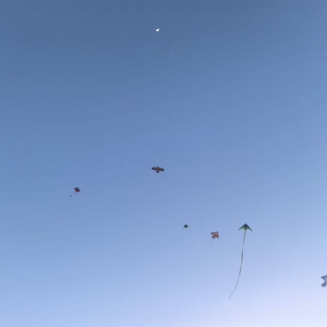 116876 太白金星