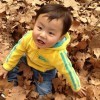 1168800 风の莱利