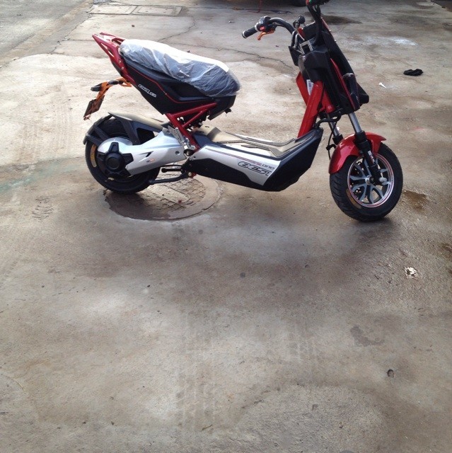 1169084 淡定