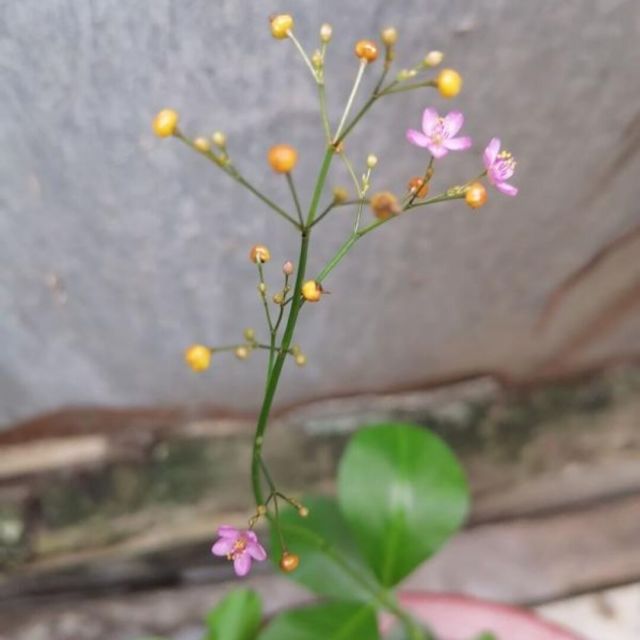 1169812 再绘、时光