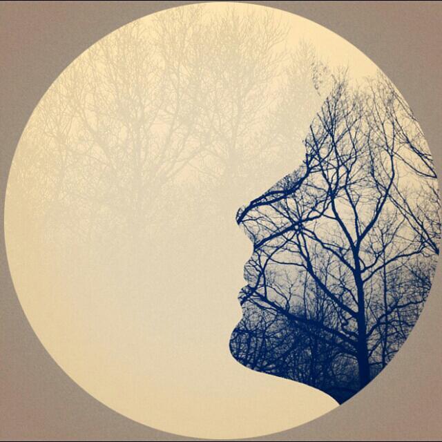 1170229 .