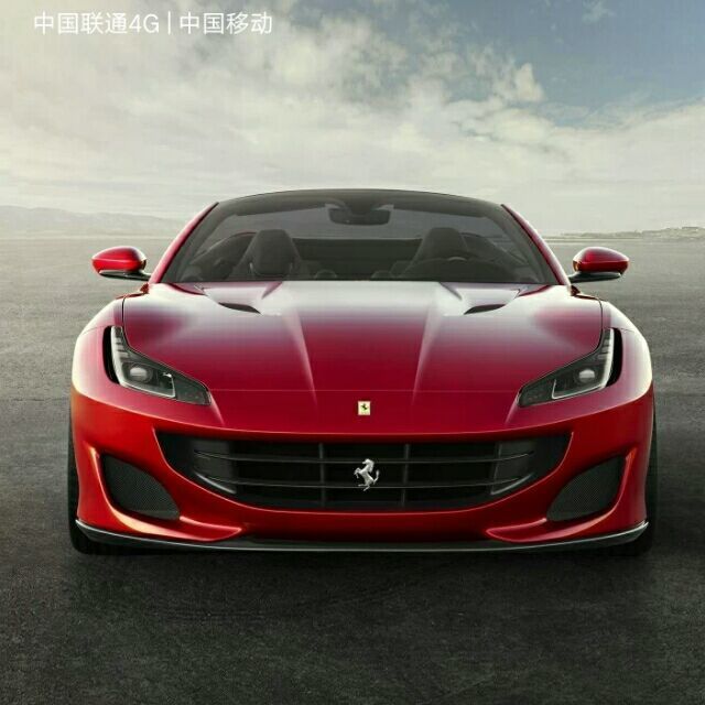 1170286 黑郁金香