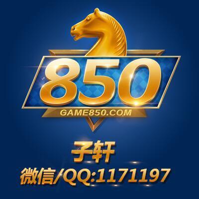 1171197 子轩网络