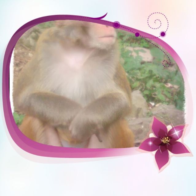 1171238 悟心居士