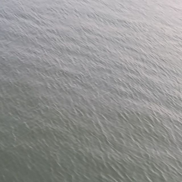1172175 26