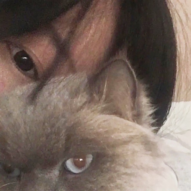 1172301  貓小姐๑