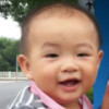 1172575 瑞奇