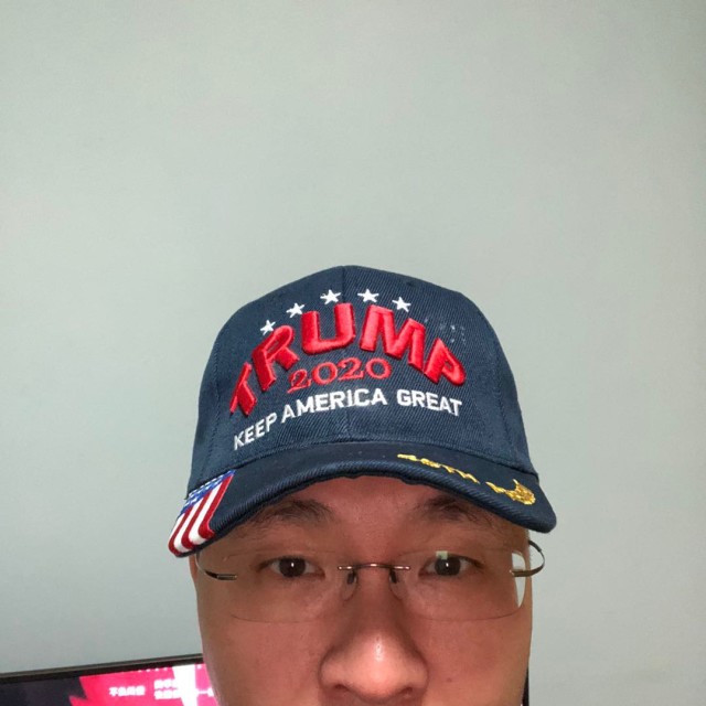 1172939 积木小狼