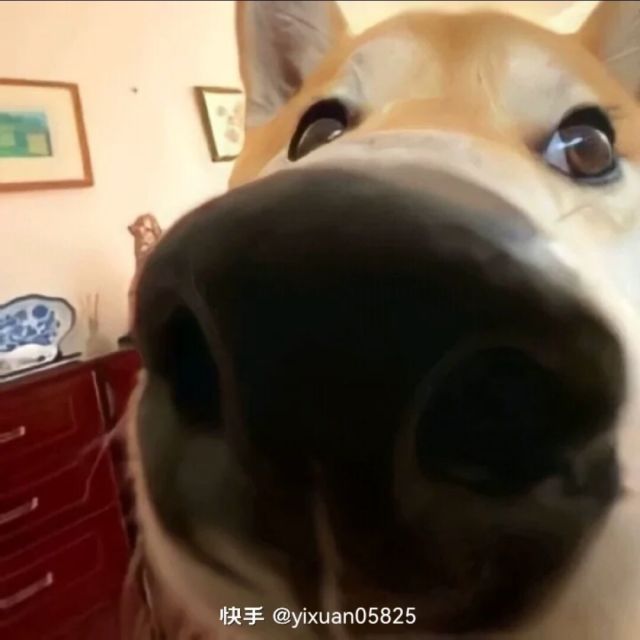 1173068 烈日