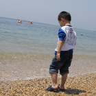 1173378 Chenliang